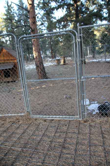 TIBETAN MASTIFF FENCING